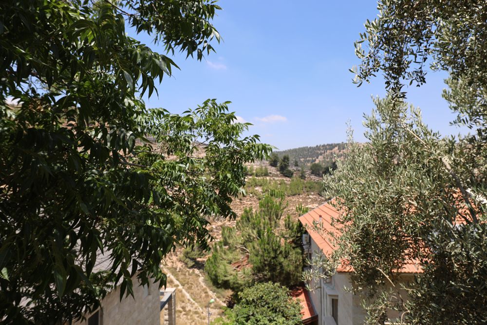 מהסמארטפון שלי